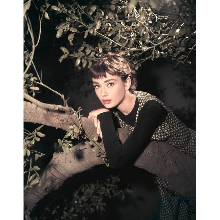 Sabrina Audrey Hepburn 1954 Poster Print Image 1