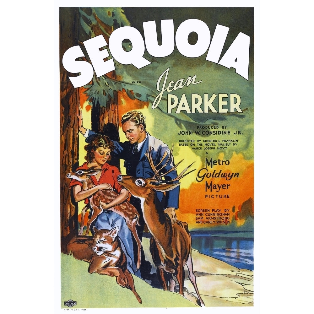 Sequoia Us Poster Art From Right: Jean Parker Russell Hardie 1934 Movie Poster Masterprint Image 1