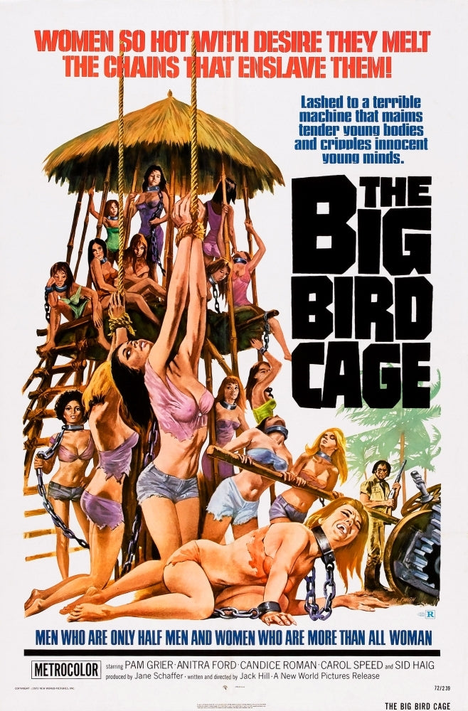 The Big Bird Cage Us Poster 1972 Movie Poster Masterprint Image 1