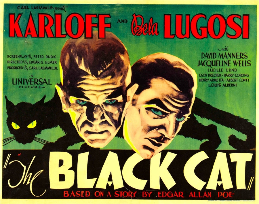 The Black Cat Boris Karloff Bela Lugosi 1934 Movie Poster Masterprint Image 1