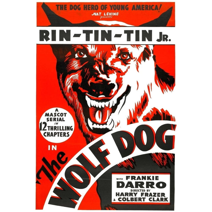 The Wolf Dog Rin Tin Tin Jr. 1933 Movie Poster Masterprint Image 1