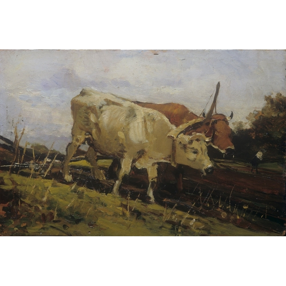 Plowing With Two Oxen Poster Print Image 2