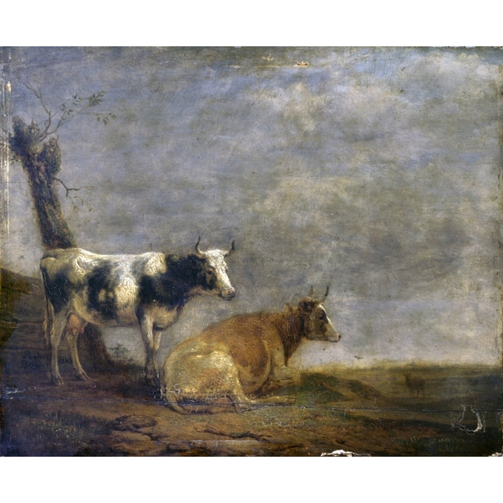 Two Cows Poster Print Image 2