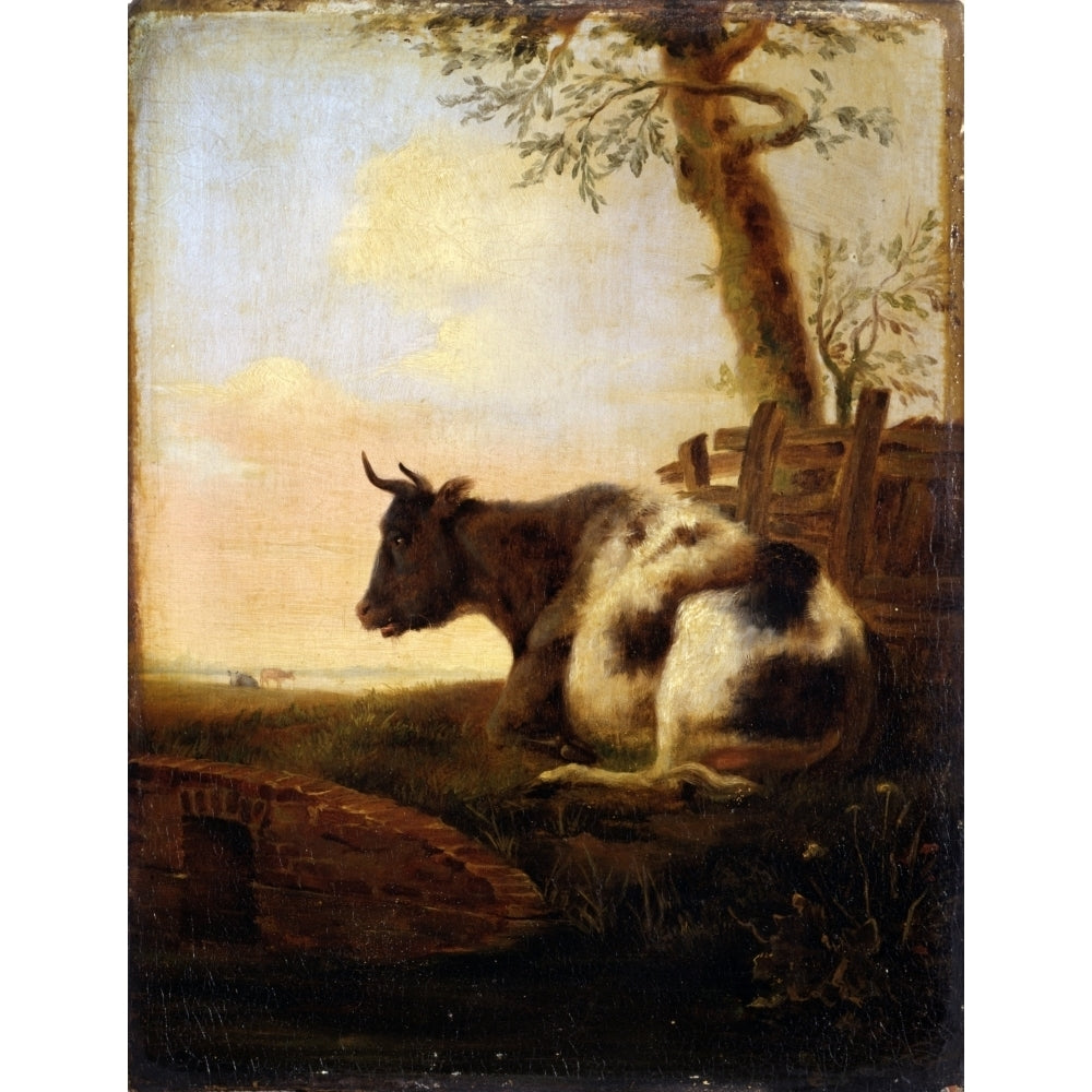 Crouching Cow Poster Print Image 1