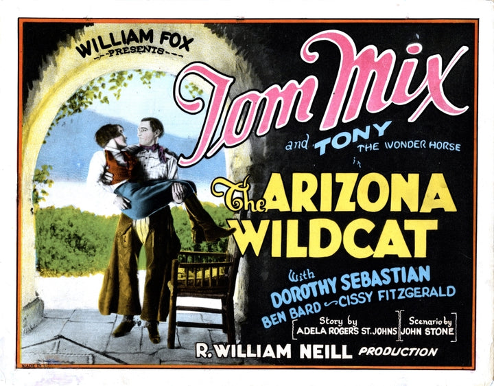 The Arizona Wildcat Movie Poster Masterprint Image 2