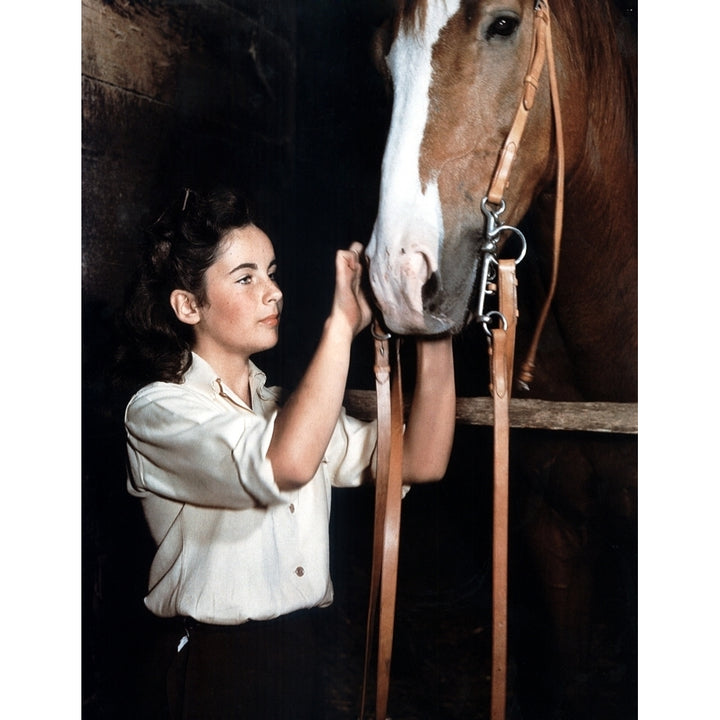 National Velvet Elizabeth Taylor 1944 Photo Print Image 1