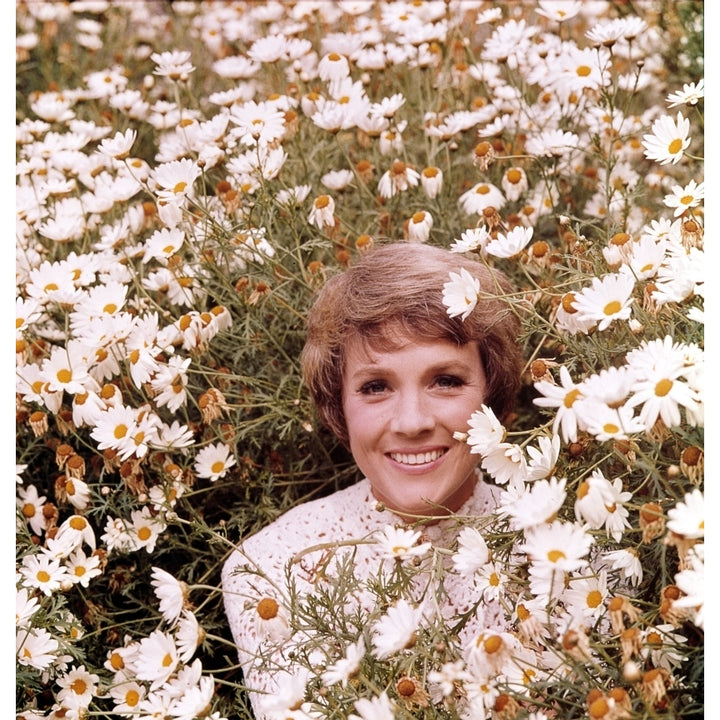 Julie Andrews Hour Julie Andrews 1972-1973 Photo Print Image 2