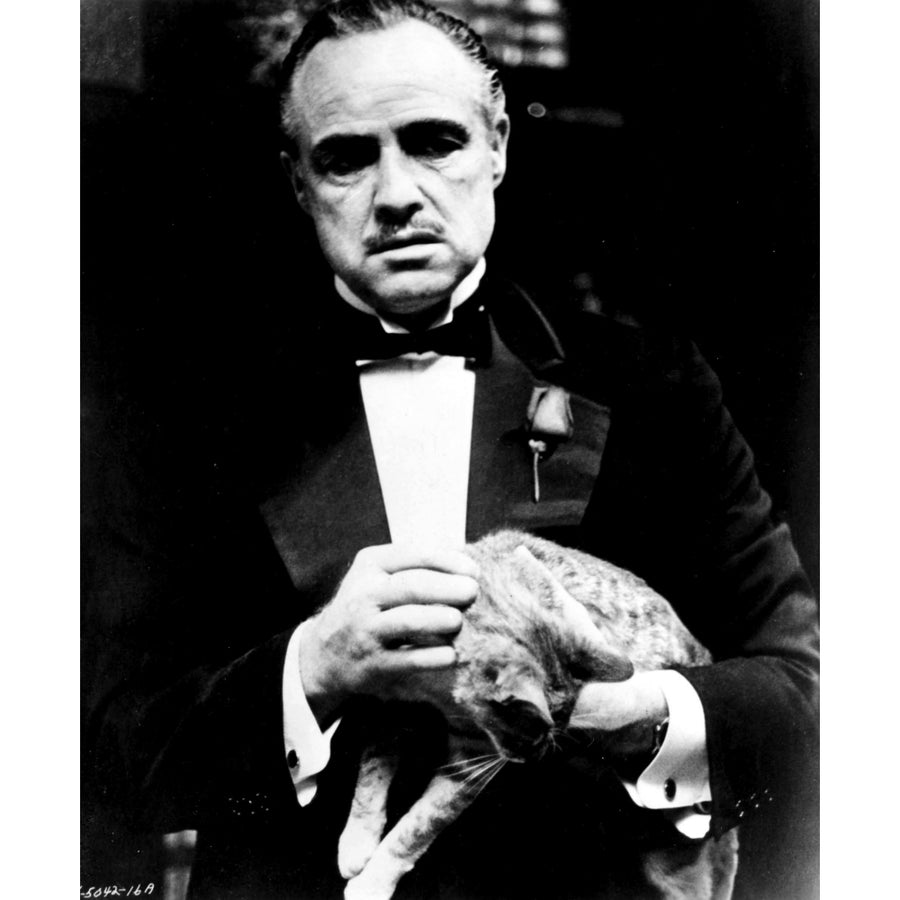 The Godfather Marlon Brando holding cat Photo Print Image 1