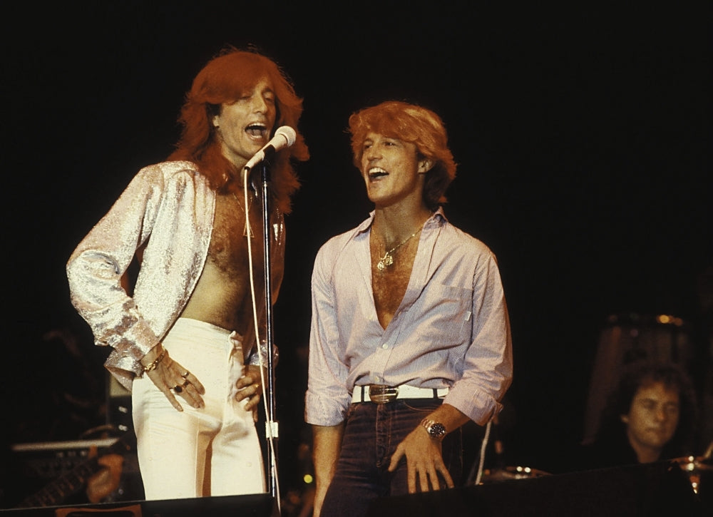 the Bee Gees on stage Photo Print Image 1