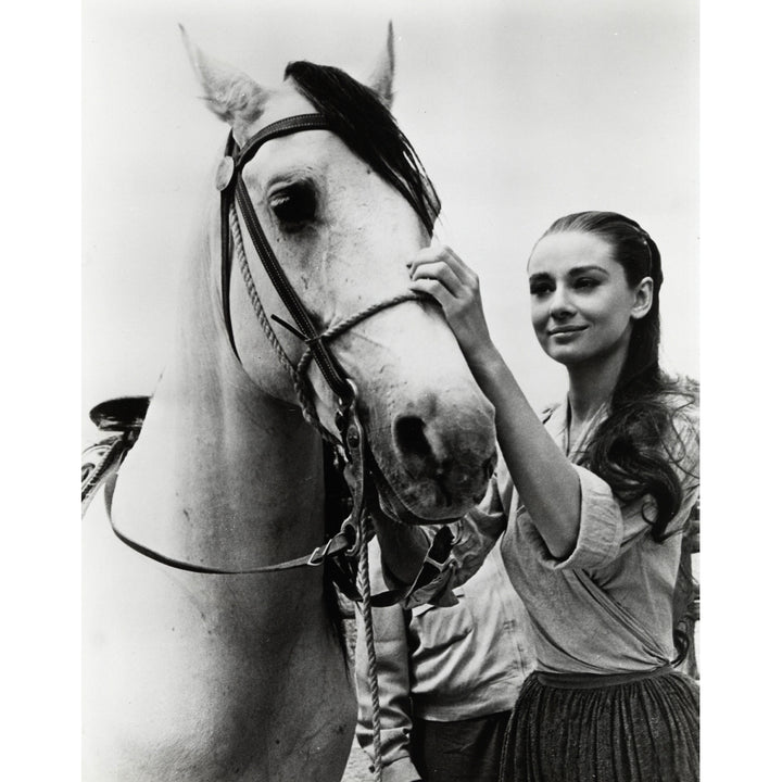 Audrey Hepburn putting the bridle on a horse Photo Print Image 2