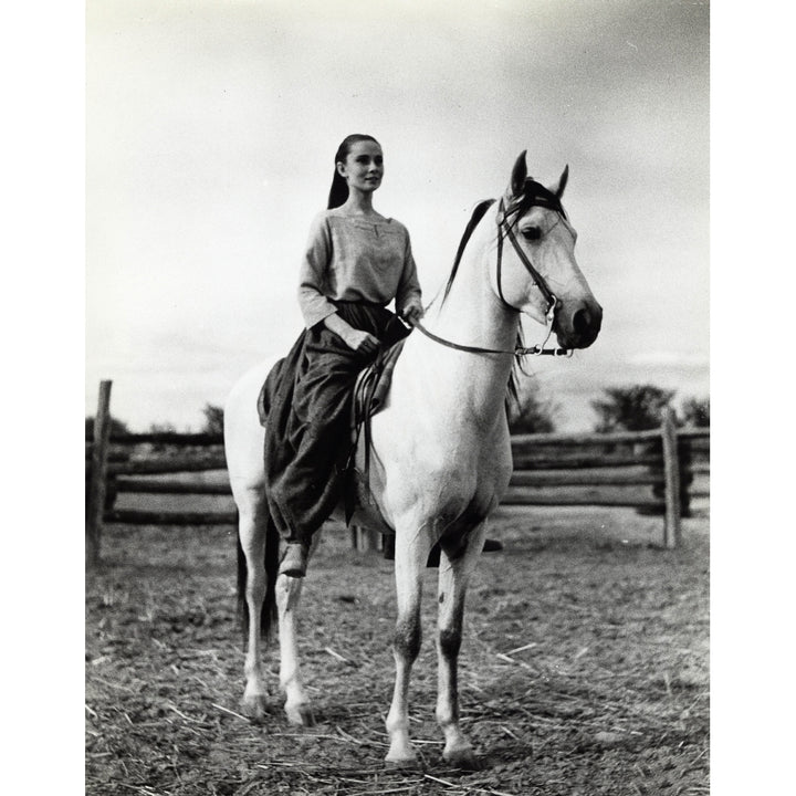 Audrey Hepburn riding a horse Photo Print Image 2