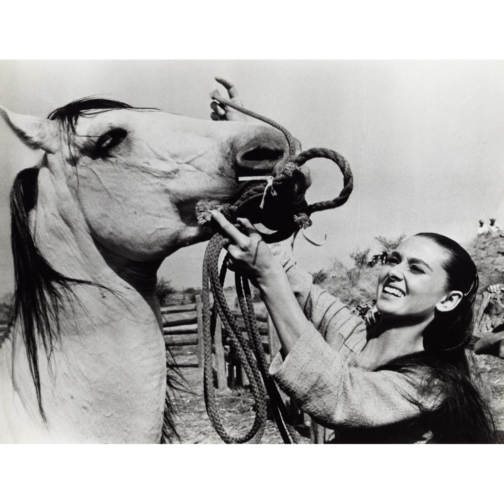 Audrey Hepburn putting the bridle on a horse Photo Print Image 1