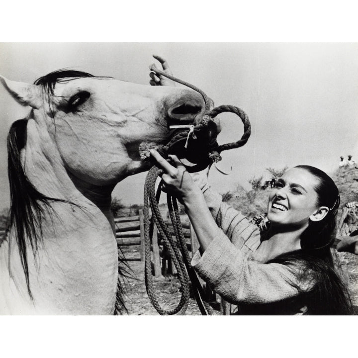 Audrey Hepburn putting the bridle on a horse Photo Print Image 2