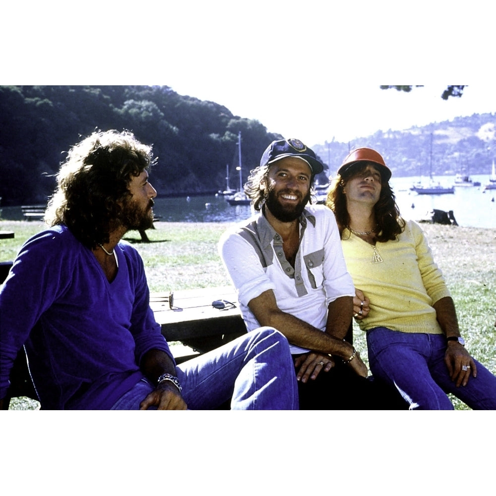 the Bee Gees at a park Photo Print Image 2