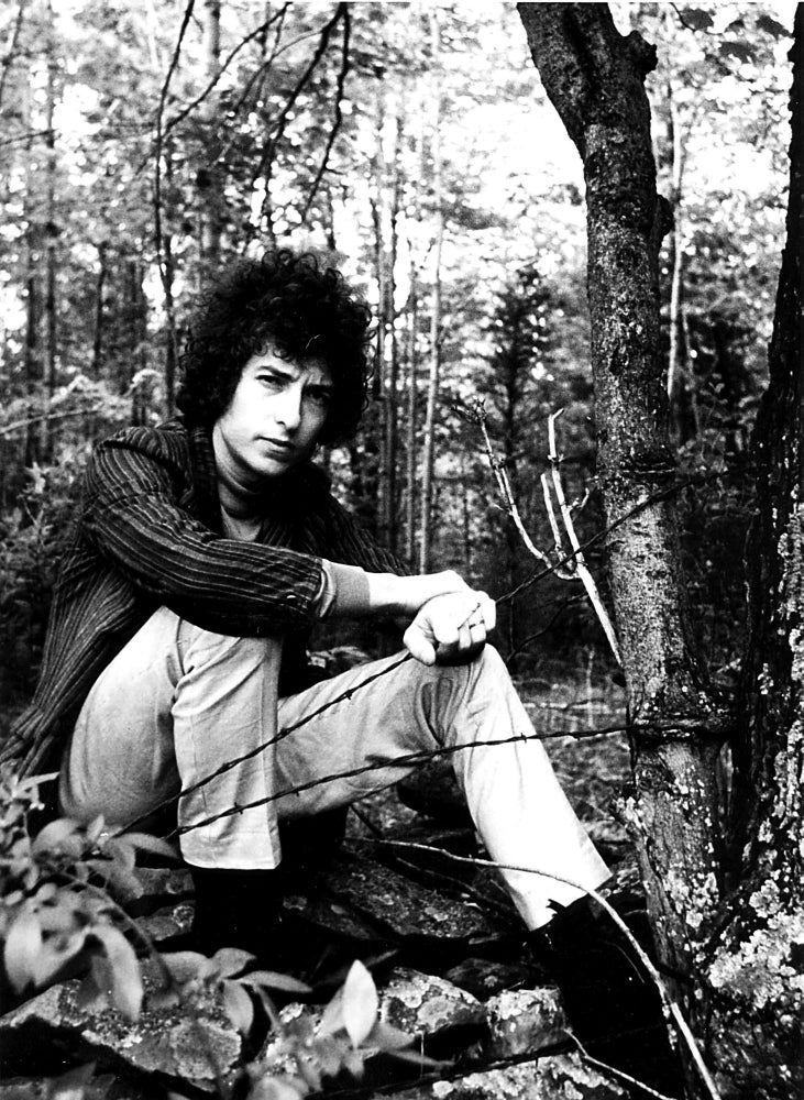 Bob Dylan in a forest Photo Print Image 1