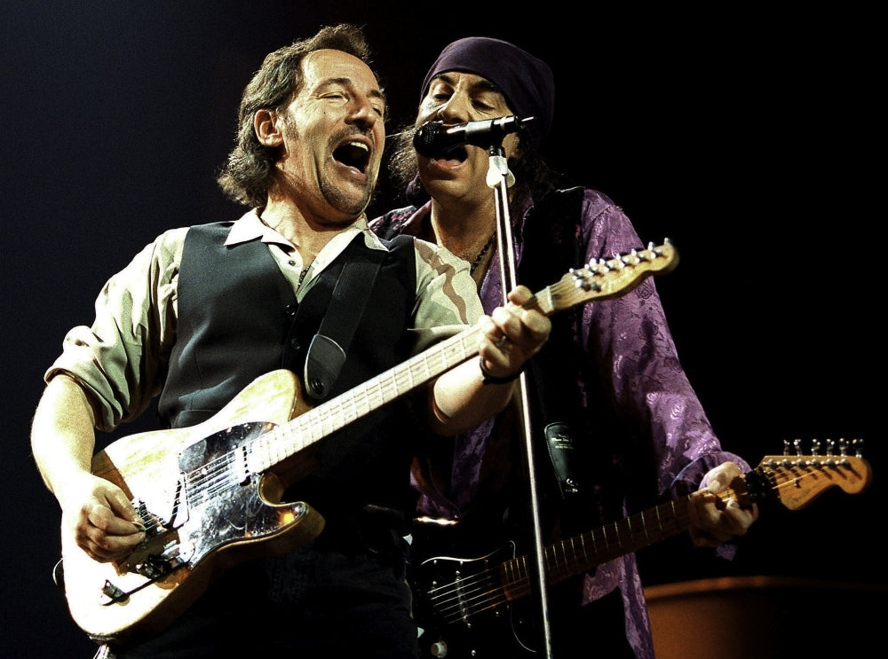 Bruce Springsteen and Steve Van Zandt performing in Vienna Photo Print Image 1