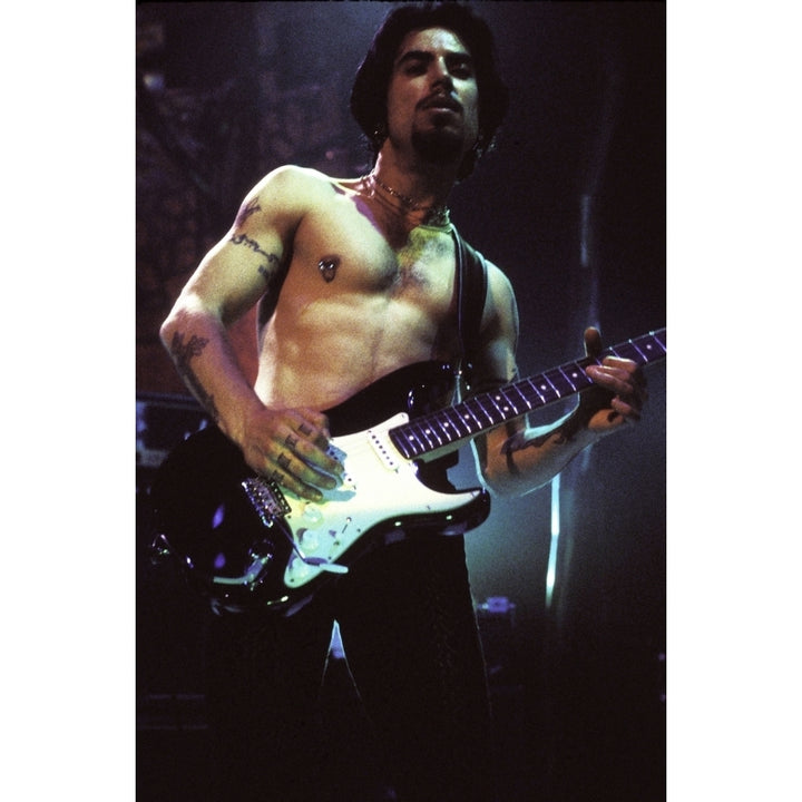 Dave Navarro on stage Photo Print Image 2