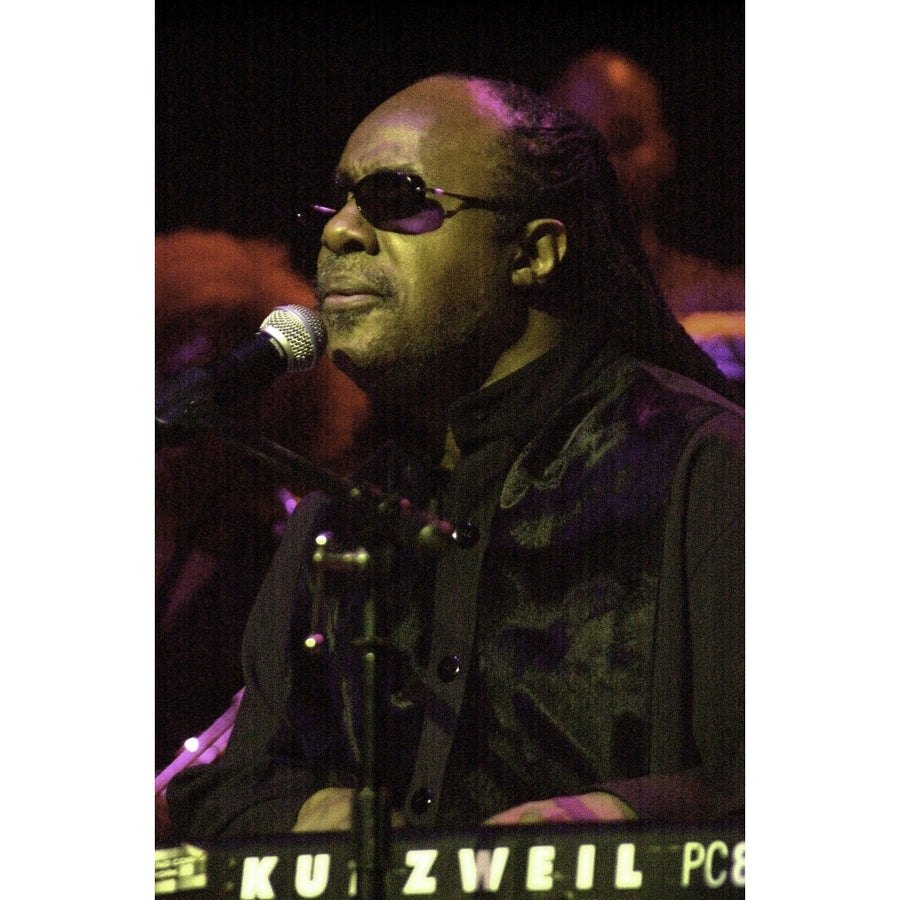 Stevie Wonder performing Photo Print Image 1