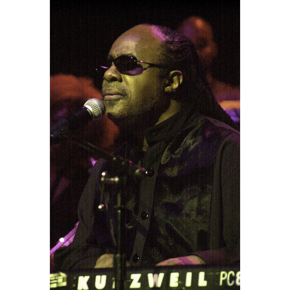 Stevie Wonder performing Photo Print Image 2