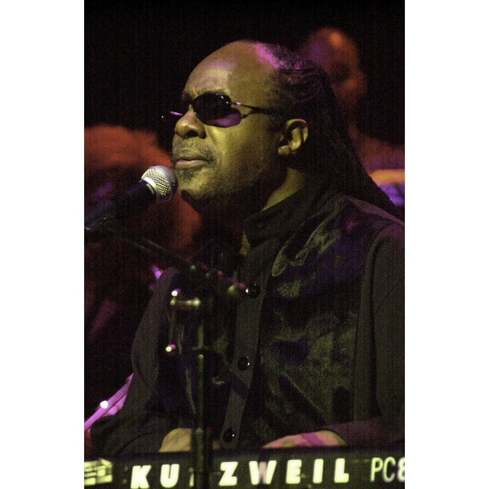 Stevie Wonder performing Photo Print Image 1