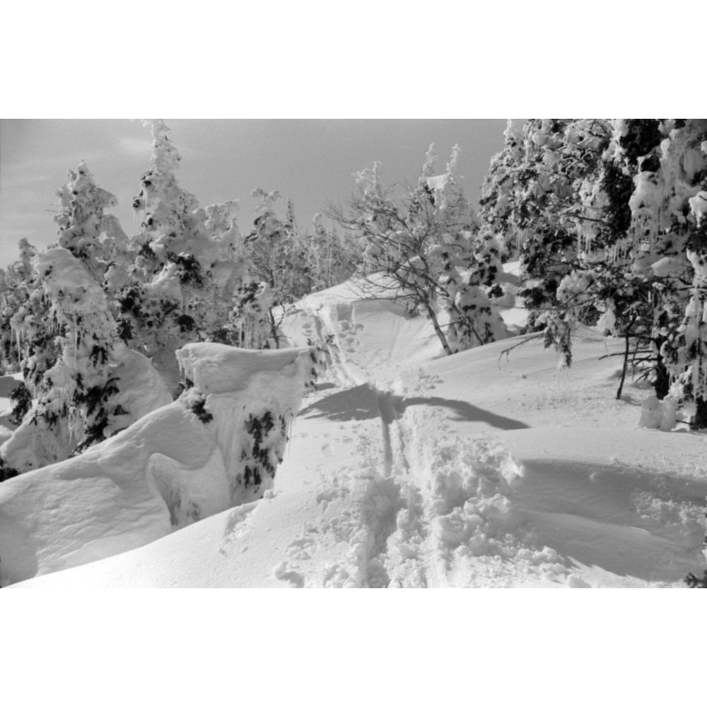 Vermont Mount Mansfield. Nthe Top Of Mount Mansfield At SmugglerS Notch Near Stowe Vermont. Photograph By Marion Post Image 2