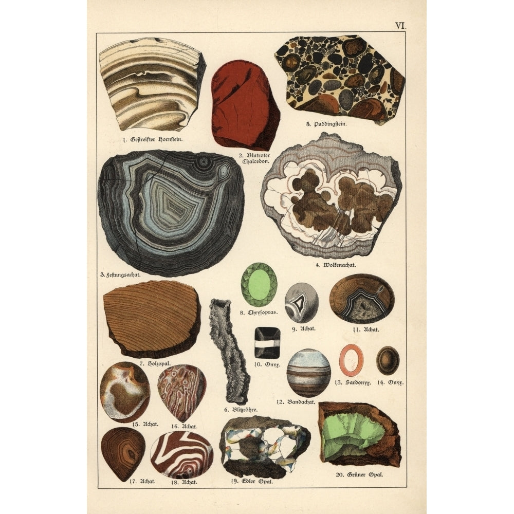 Precious Stones Including Agate Onyx Opal And Sardonyx Poster Print By ?? Florilegius Mary Evans Image 1