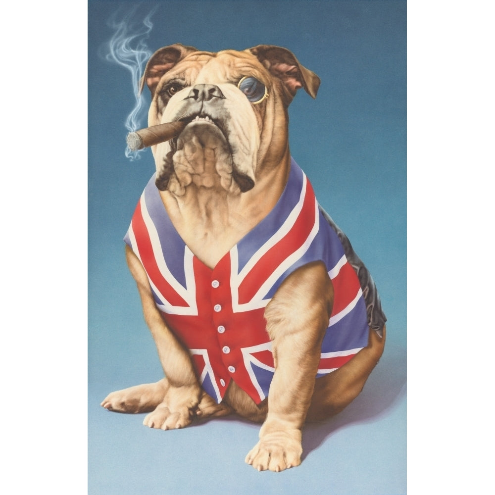 British bulldog Poster Print by Andrew Farley Image 2