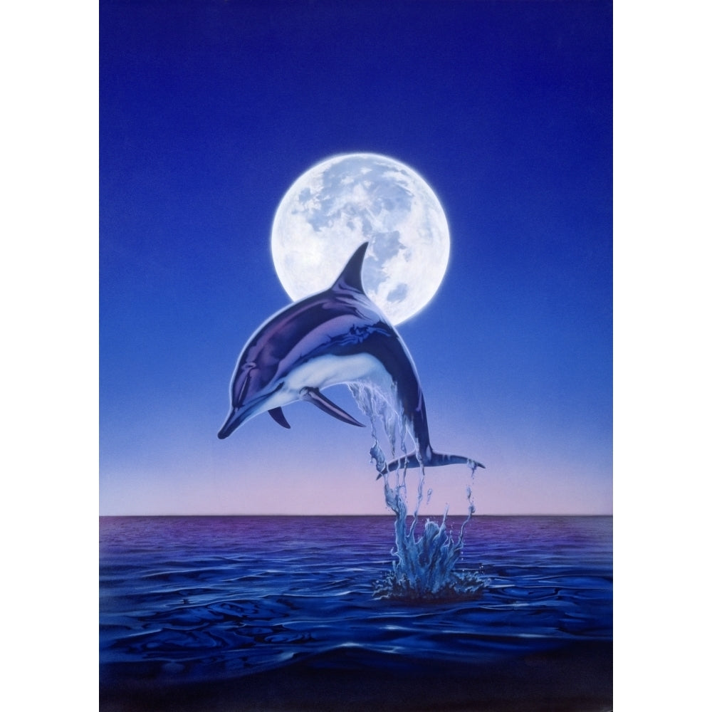 Moonlight Dolphin Poster Print by Robin Koni Image 1