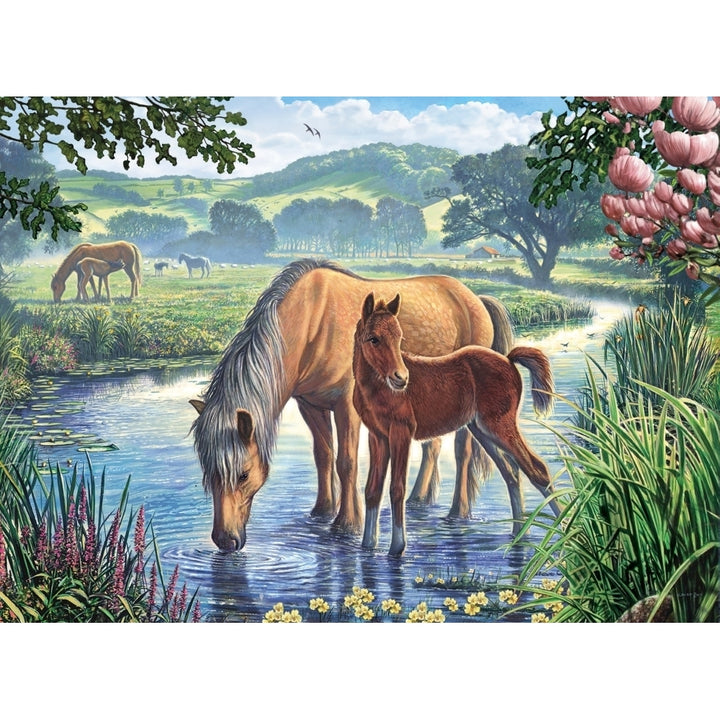 Forest Ponies Poster Print by Steve Crisp Image 2