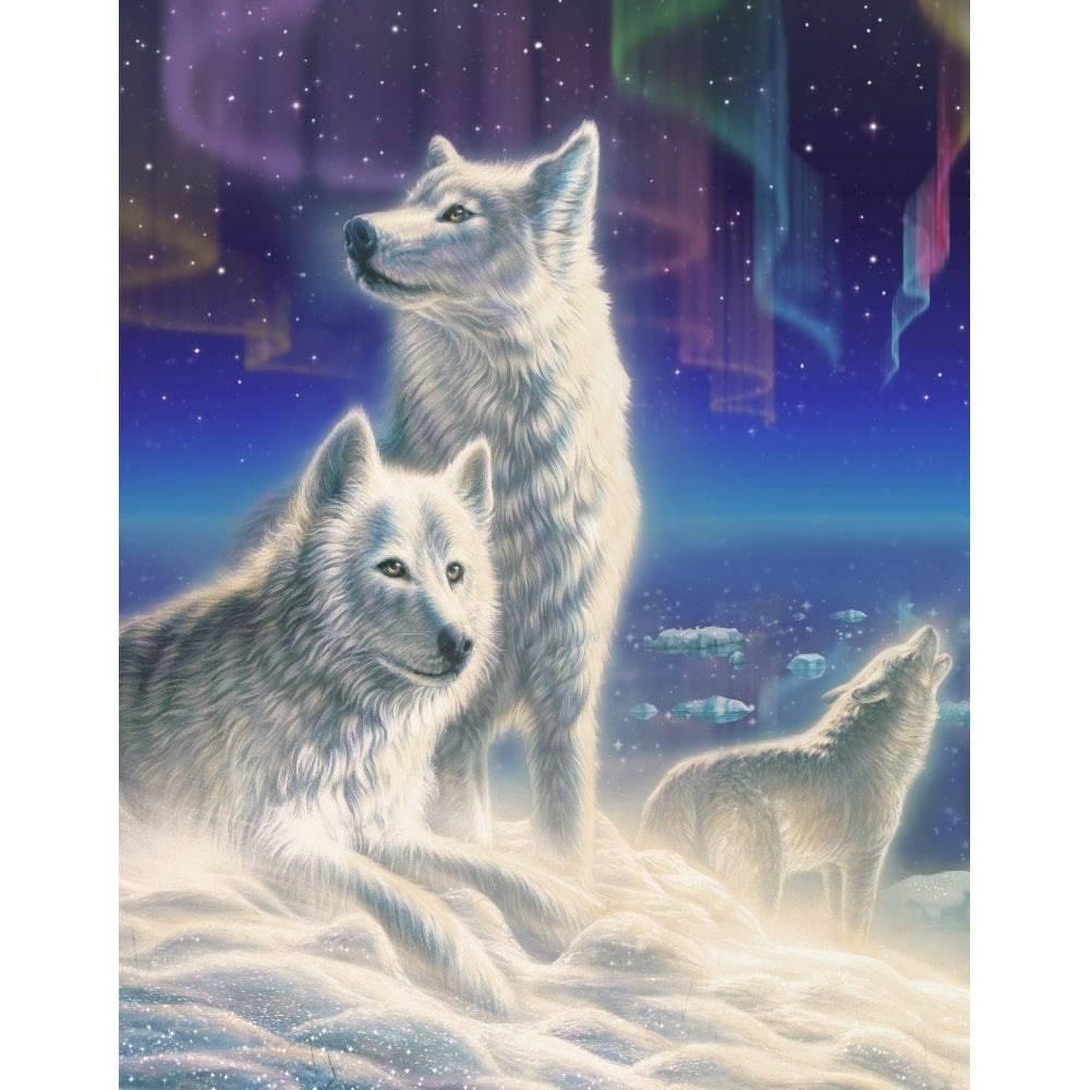 Arctic Wolves Poster Print by Adrian Chesterman Image 1