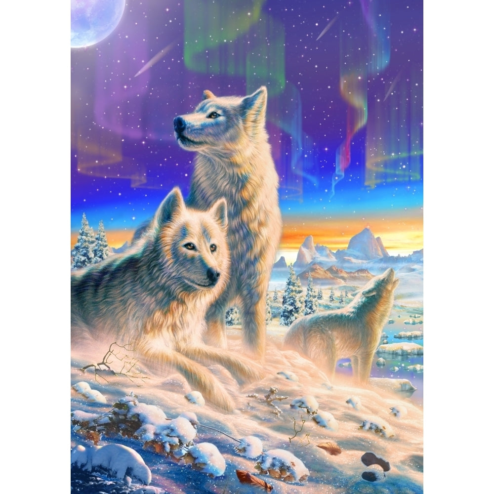 Arctic Wolves Poster Print by Adrian Chesterman Image 1