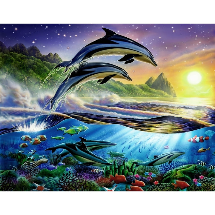 Atlantic Dolphins Poster Print by Adrian Chesterman Image 1