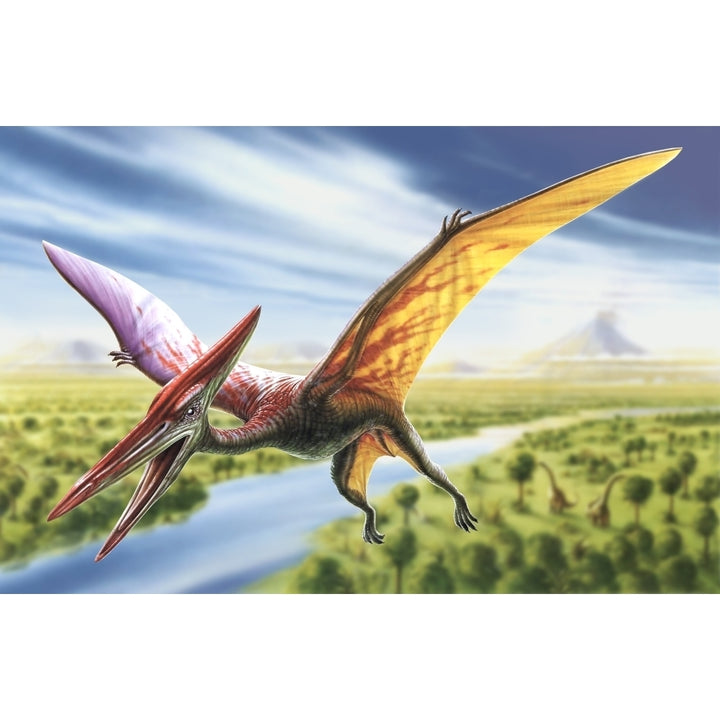 Pterodactyl Poster Print by Adrian Chesterman Image 1