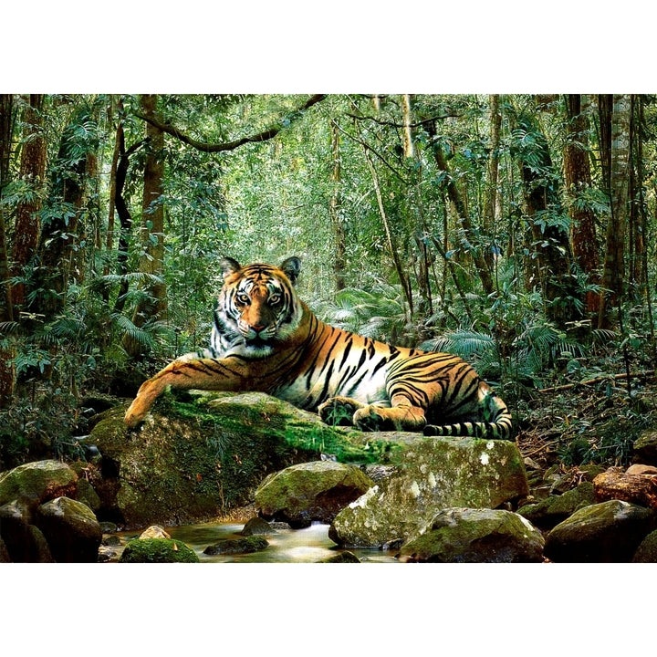 Tiger in Jungle Poster Print by Adrian Chesterman Image 1