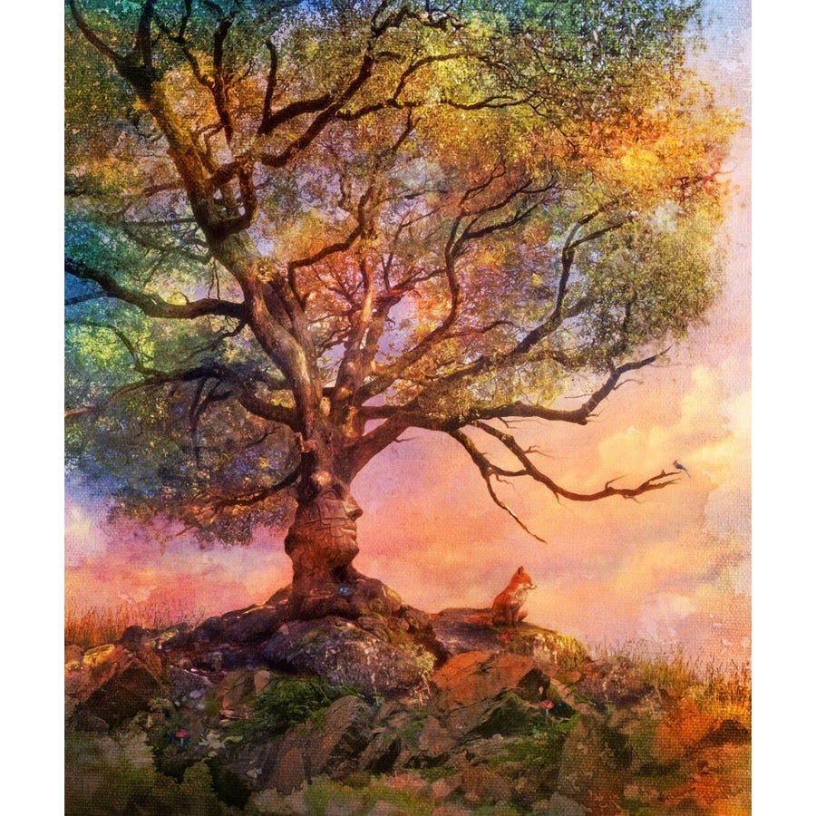 Sunset at Fox Mountain Poster Print by Aimee Stewart Image 1