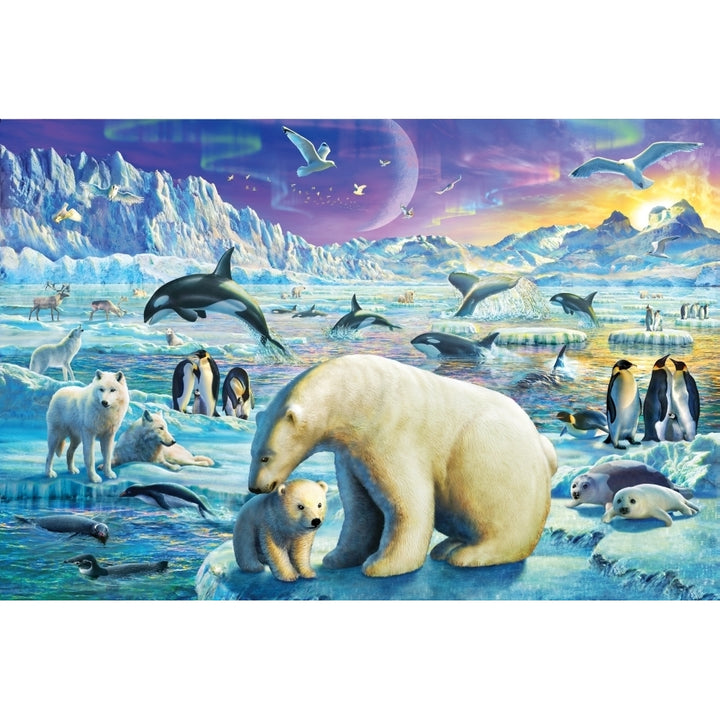 Arctic Night Poster Print by Adrian Chesterman Image 1