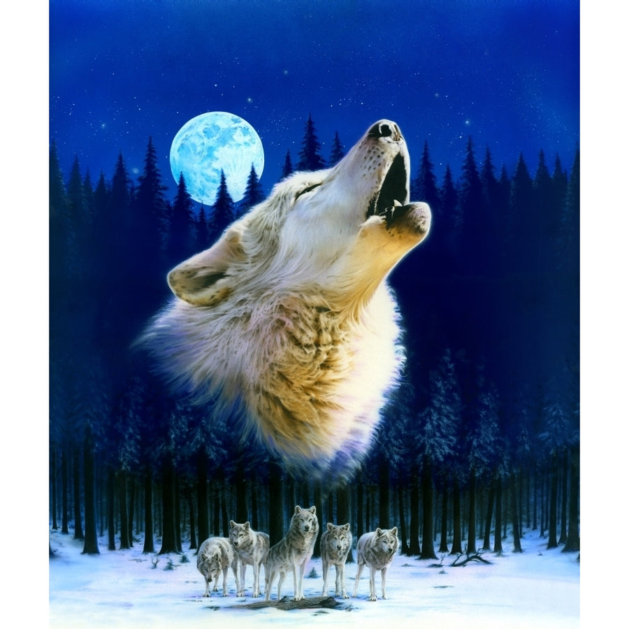 Howling Wolf Variant 1 Poster Print by Robin Koni Image 1