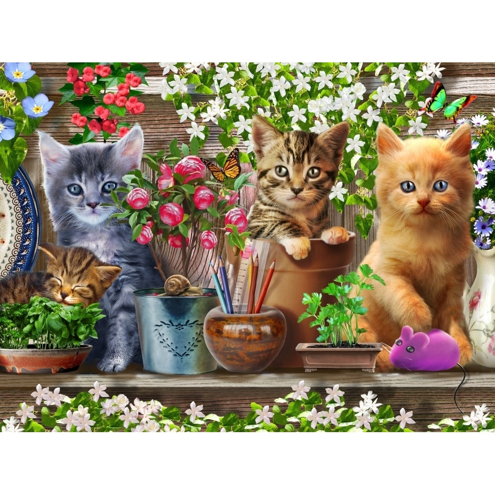 Kitten Garden Shelves Poster Print by Adrian Chesterman Image 1