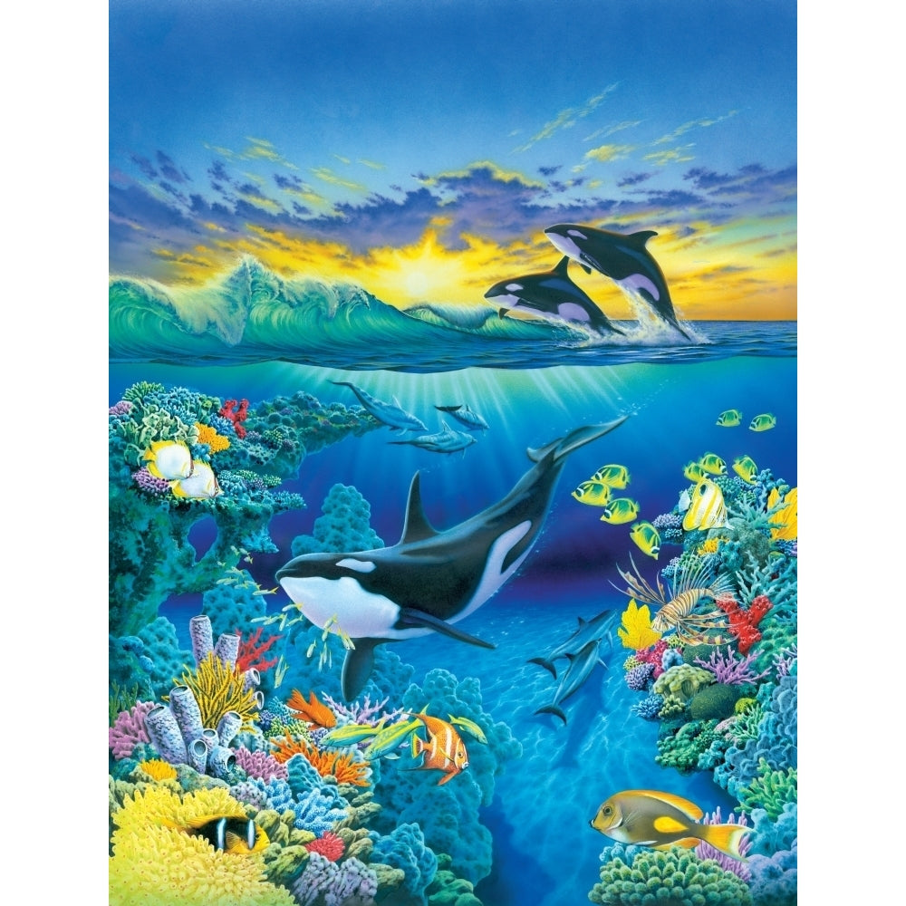 Living Ocean - Orca Poster Print by Robin Koni Image 1