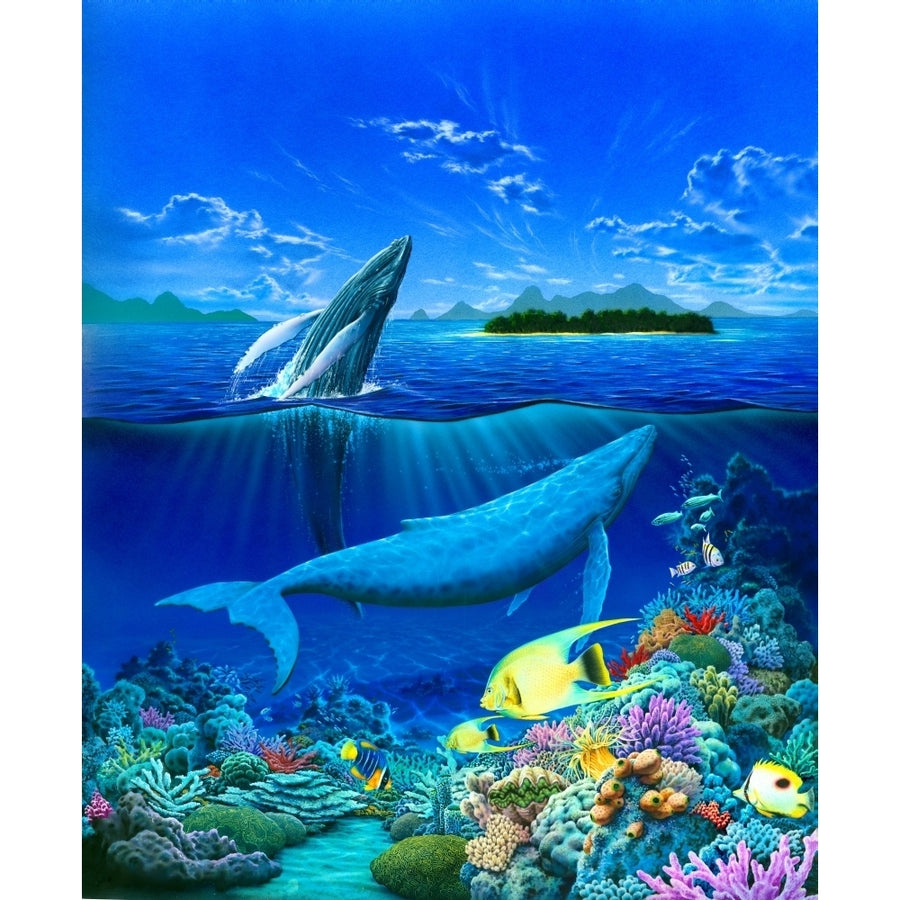 Living Ocean - Whales Poster Print by Robin Koni Image 1