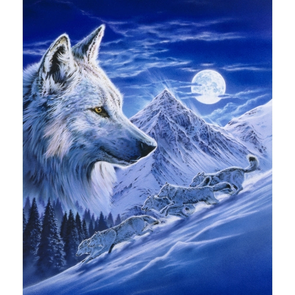 Running With the Pack Variant 1 Poster Print by Robin Koni Image 2