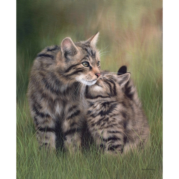 Scottish Wildcats Poster Print by Rachel Stribbling Image 2