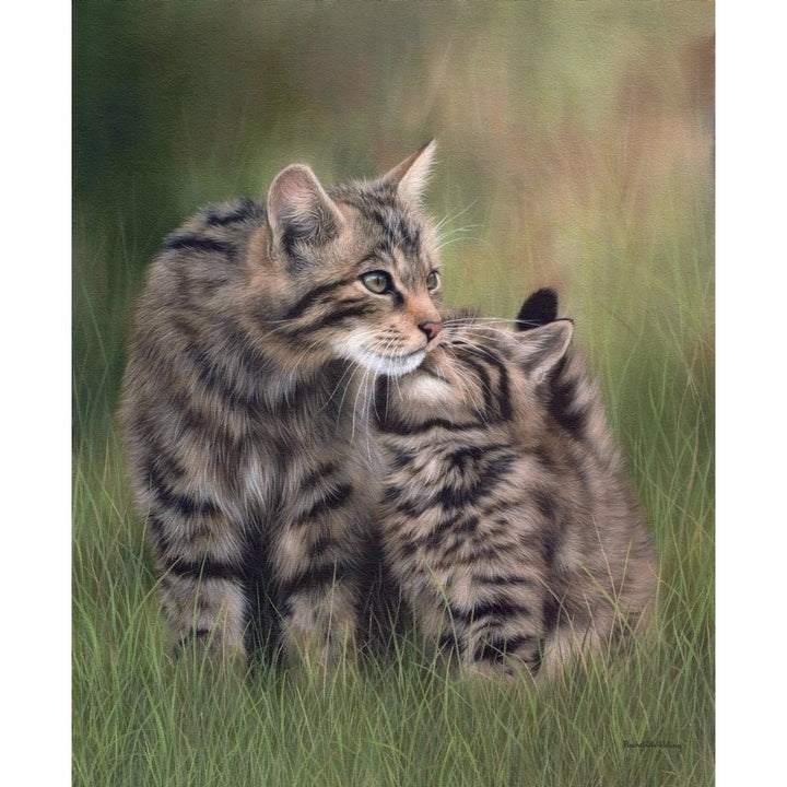 Scottish Wildcats Poster Print by Rachel Stribbling Image 1