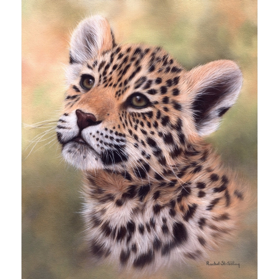 Jaguar Cub Portrait Poster Print by Rachel Stribbling Image 1