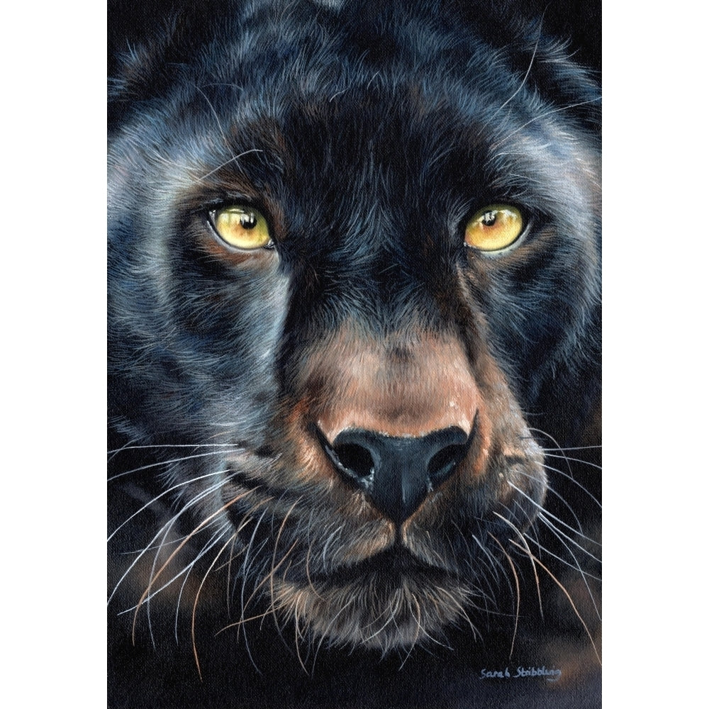 Black panther portrait Poster Print by Sarah Stribbling Image 1