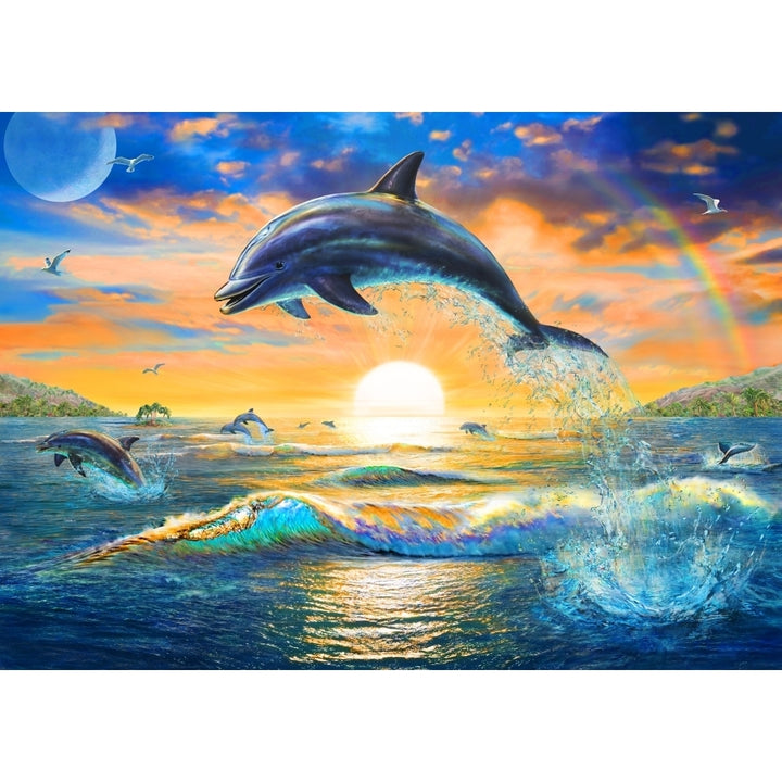 Dolphin Sunrise Poster Print by Adrian Chesterman Image 2