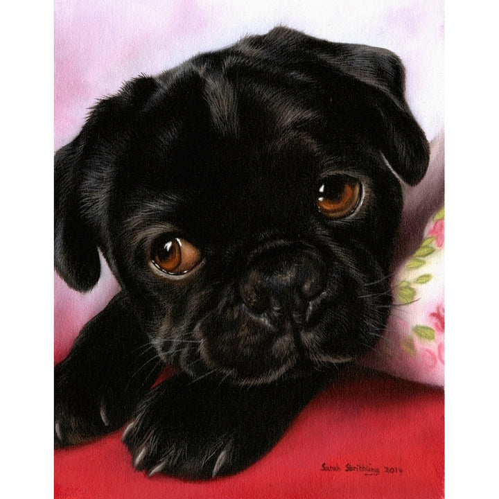 Black Pug Poster Print by Sarah Stribbling Image 2