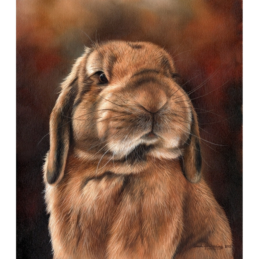 Lop Rabbit Poster Print by Sarah Stribbling Image 1