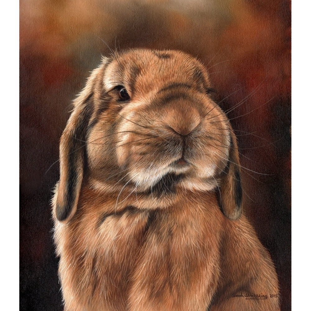 Lop Rabbit Poster Print by Sarah Stribbling Image 2