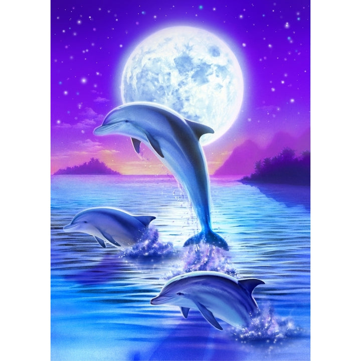 Day of the Dolphin __ Midnight Poster Print by Robin Koni Image 2